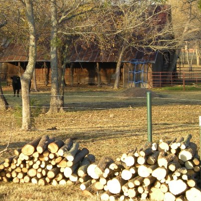 Cold weather's coming! Good thing we're well prepared with plenty of firewood! #TexasHomesteader