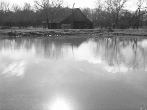 01-13 Barn Pond (2)