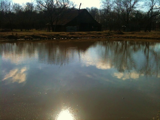 After a drought, the ponds are filling fast. #TexasHomesteader