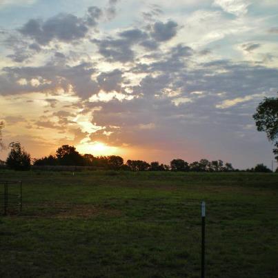 Sunrise in the still of the morning. Beautiful! #TexasHomesteader