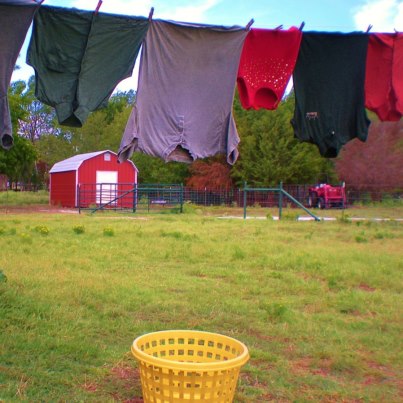 Hanging clean laundry on clothesline #TexasHomesteader