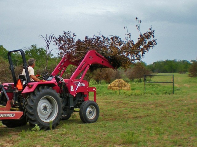 cleaning up dead trees. Drought has caused many of our trees to die. And lots of those trees are Honey Locust with long thorns. Time to clean up. #TexasHomesteader