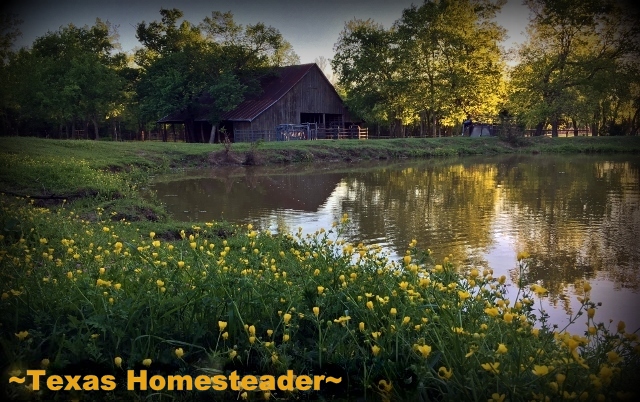 We used reclaimed wood from our 1880's barn to make a beautiful mirror frame for our home. #TexasHomesteader