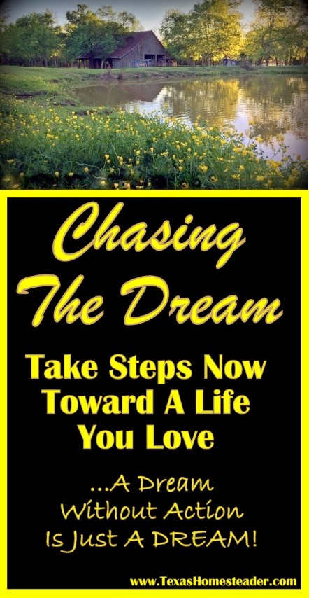 CHASING THE DREAM! A dream without action is simply a dream so even if it's baby steps, start taking those steps today! #TexasHomesteader