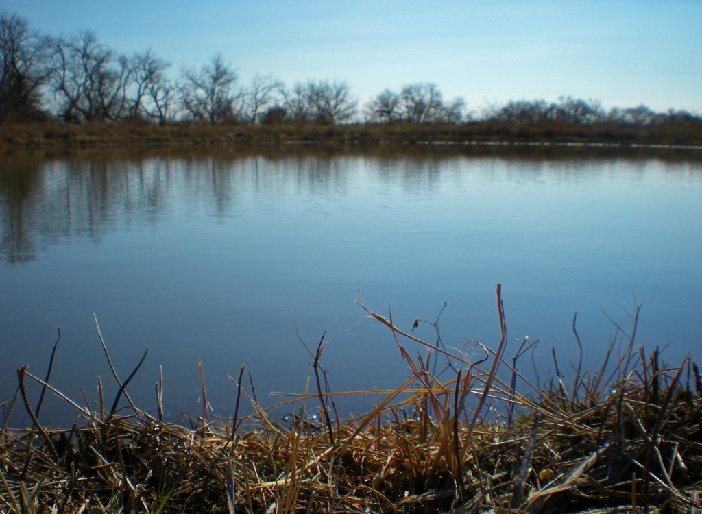 Ponds Filling