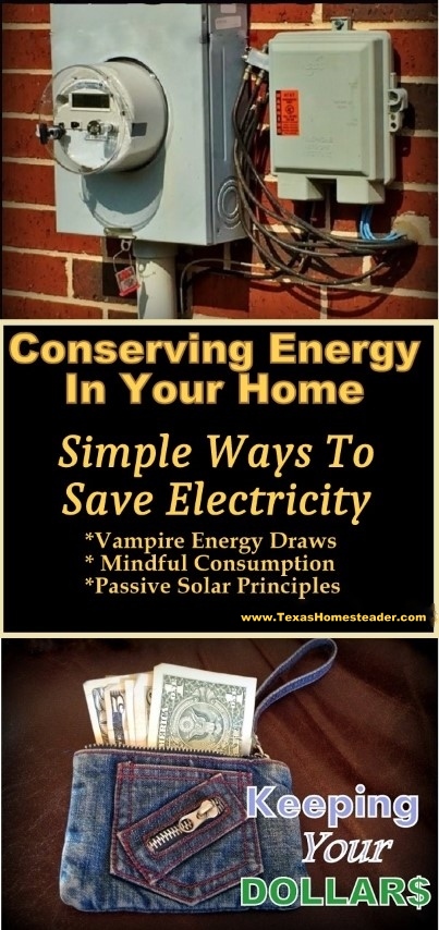 Simple energy-saving tips anyone can use to save on electricity in your home. #TexasHomesteader