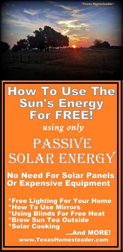 You don't need solar panels or expensive equipment to take advantage of Passive Solar energy for FREE! Come see my easy tips. #TexasHomesteader