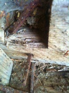 Square nails. Come tour our old 1880's Texas barn. I love the old rustic patina of the wood, the square nails and all the details. #TexasHomesteader