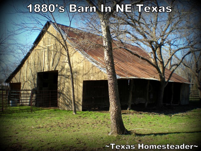 D'ya ever wonder what it looks like inside an 1880's barn? Well come along with me for a tour of the inside! #TexasHomesteader