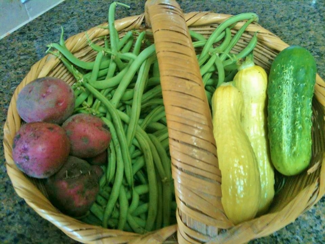 Fresh vegetables. Grandma's Cooking - A Lost Art? Let's strive to cook like GRANDMA DID! Meals need not be complicated to be inexpensive, delicious and healthy #TexasHomesteader