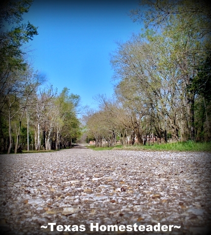 Country road. It's a wondrous world in the country, especially when viewed through a city-girl's eyes. Come see & experience with me #TexasHomesteader