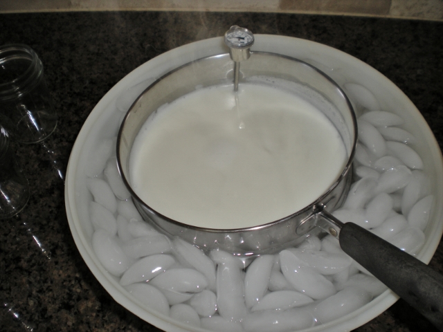 Homemade yogurt milk is cooled until it reach 105 degrees in a bowl of ice water. #TexasHomesteader