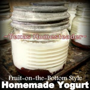 Homemade yogurt. Come see 5 Frugal Things we did this week to save both money and the environment. It's easy to save a little cash! #TexasHomesteader