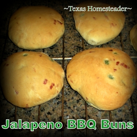 I often make jalapeno cheese beer bread, so why not jalapeno cheese beer buns to go with homemade pulled pork BBQ? These are delicious! #TexasHomesteader