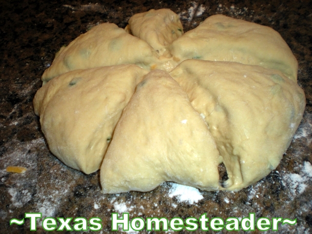 I often make jalapeno cheese beer bread, so why not jalapeno cheese beer buns to go with homemade pulled pork BBQ? These are delicious! #TexasHomesteader