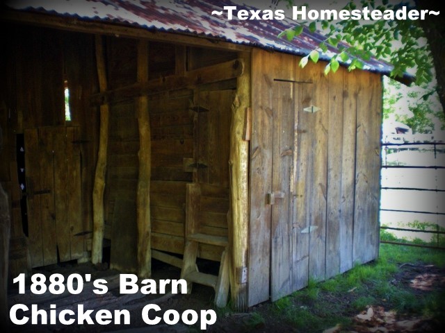 Refurbishing An 1880s Barn Coop