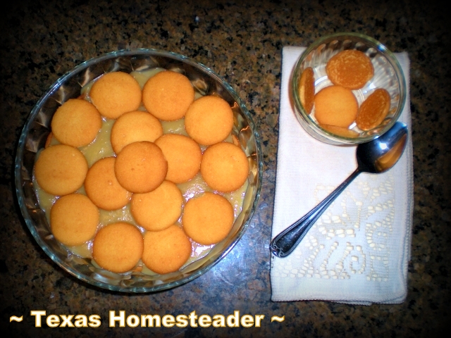 Homemade banana pudding served in a dish and topped with vanilla wafers. #TexasHomesteader