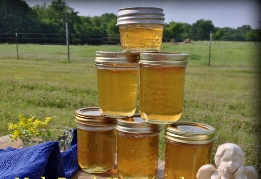 Honeysuckle is foraged to make delicious honeysuckle jelly. #TexasHomesteader