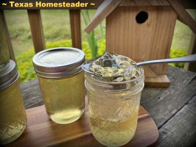 Honeysuckle jelly on metal spoon with wood birdhouse in the background. #TexasHomesteader 