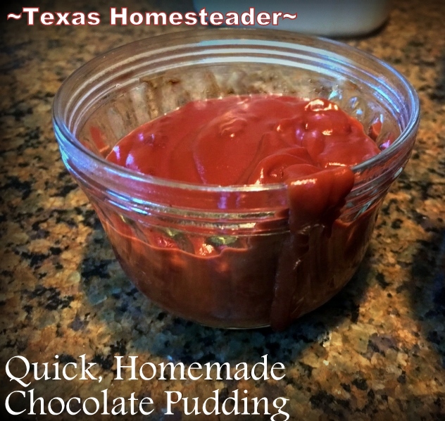 Chocolate pudding. 30-DAY GROCERY NO-SPEND CHALLENGE! No money spent on food for a full month - see how we survived our FINAL WEEK! Tips & recipes included #TexasHomesteader