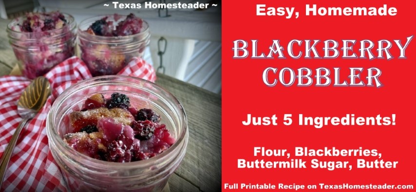 My simple homemade blackberry cobbler recipe uses only 5 simple ingredients. #TexasHomesteader