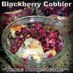 Blackberry cobber recipe is simple and uses only 5 ingredients. #TexasHomesteader