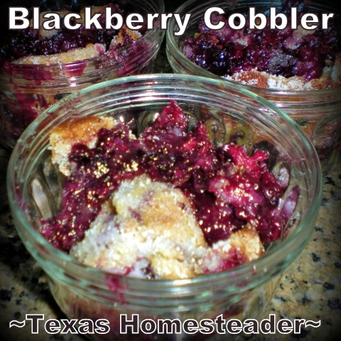 Homemade blackberry cobbler goodness in a snap! My recipe only has 5 ingredients: Flour, sugar, butter, milk and blackberries. #TexasHomesteader