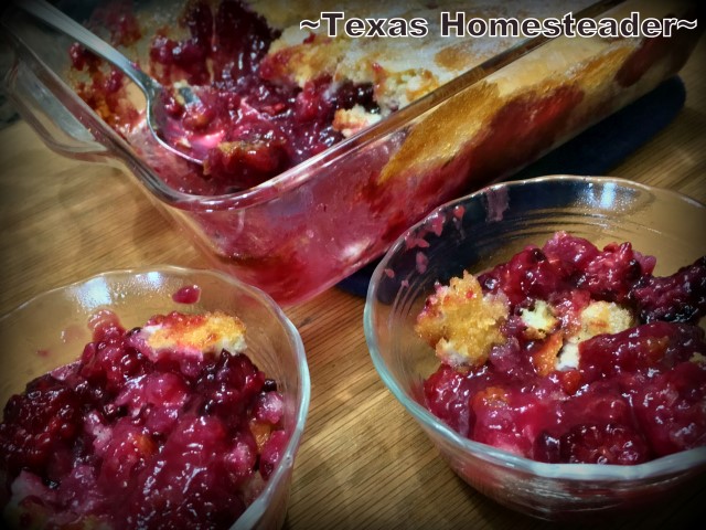 Homemade blackberry cobbler goodness in a snap! My recipe only has 5 ingredients: Flour, sugar, butter, milk and blackberries. #TexasHomesteader