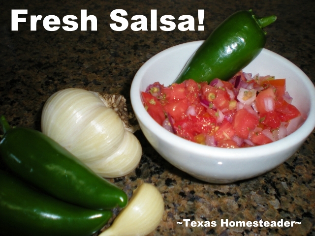 I've always said plant what you love to eat - we love salsa! See what I harvested from the garden for our homemade garden salsa at supper. #TexasHomesteader