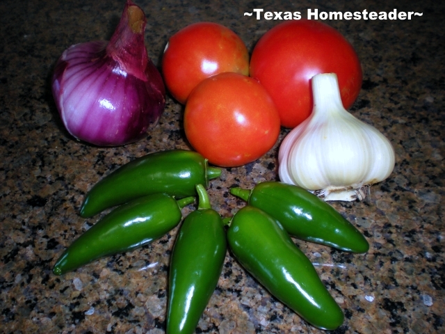 Garden vegetables for pico de gallo - onion, garlic, jalapenos. #TexasHomesteader