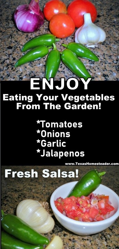 Grow veggies in your garden to make eating your vegetables FUN! Fresh salsa. #TexasHomesteader