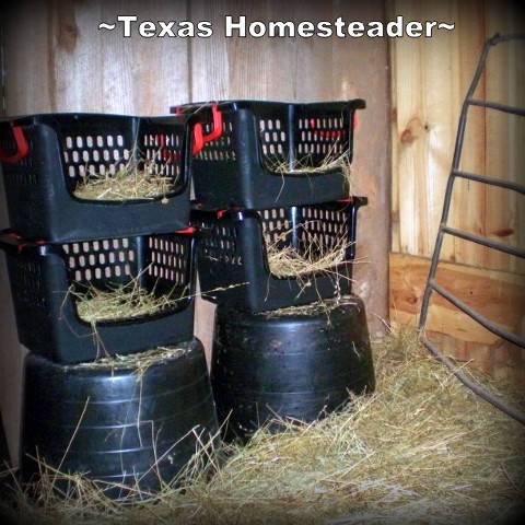 Nesting Boxes Using Crates. We're finally ready for our chicks to call our 1880's barn coop their home. But steps were needed to keep them safe. See what we did! #TexasHomesteader