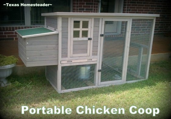 Portable Chicken Coop For Free Range Chickens Texashomesteader