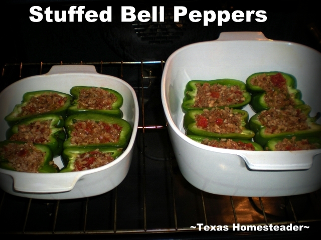 Cook once eat twice method of cooking example - many baking dishes of stuffed bell peppers cooked at one time. #TexasHomesteader