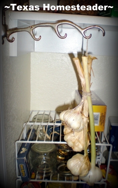 Vintage metal hanger inside pantry. See what methods of preserving garlic are successful for us. #TexasHomesteader