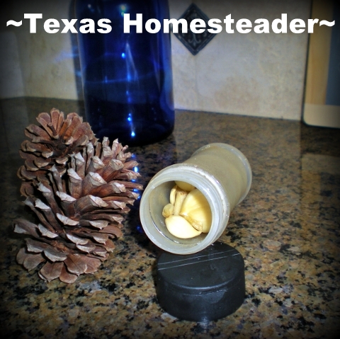 Preserving garlic. Summer is here, y'all. July promises to be hot & dry here in NE Texas. But the garden has provided some harvests. Come check it out! #TexasHomesteader