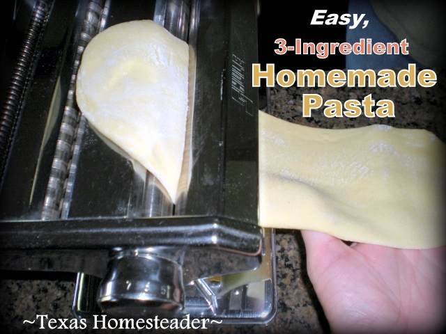 Homemade Pasta (With or Without A Pasta Maker) - The House & Homestead