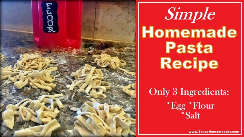 Homemade Pasta Noodles - Boots & Hooves Homestead