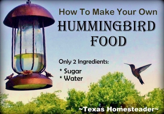 Hummingbird bird feeder nectar sugar water #TexasHomesteader