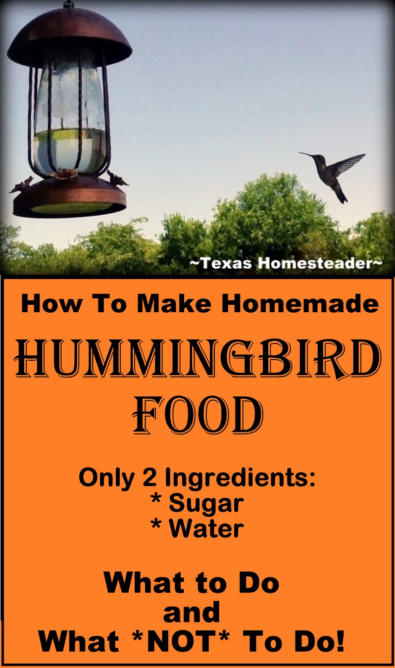 2 Ingredient Homemade Hummingbird Food