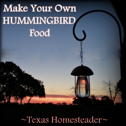 Make hummingbird nectar at home for a fraction of the cost of buying the commercial stuff - only two ingredients! Read how #TexasHomesteader