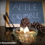 Simple apple crumble an easy, delicious dessert. #TexasHomesteader