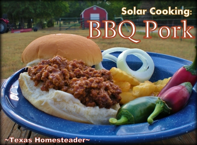 I use my solar oven often especially when it's hot outside. It keeps cooking heat outside where it belongs! Today I'm cooking BBQ pork. #TexasHomesteader
