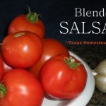 Blender salsa lets you use those delicious garden tomatoes with a TexMex flair. Enjoy eating your vegetables! #TexasHomesteader