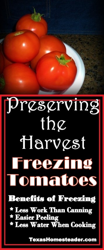 Freezing tomatoes has many benefits. Simpler than canning, releases moisture, simplifies peeling. #TexasHomesteader