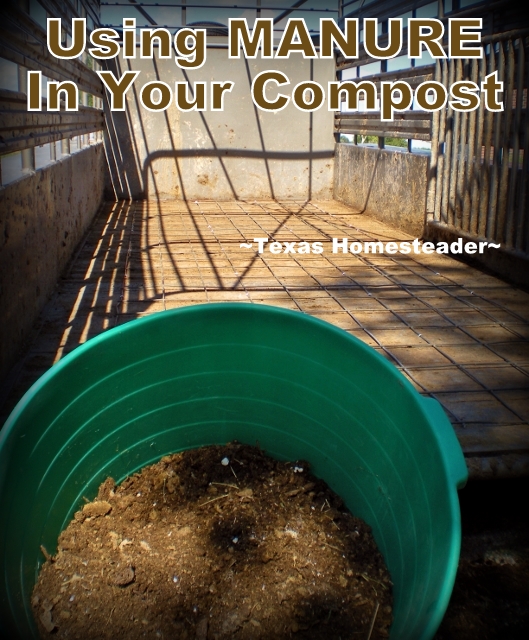 We have constant access to one of the most important components of my compost - Manure! Come read how we use this precious resource #TexasHomesteader