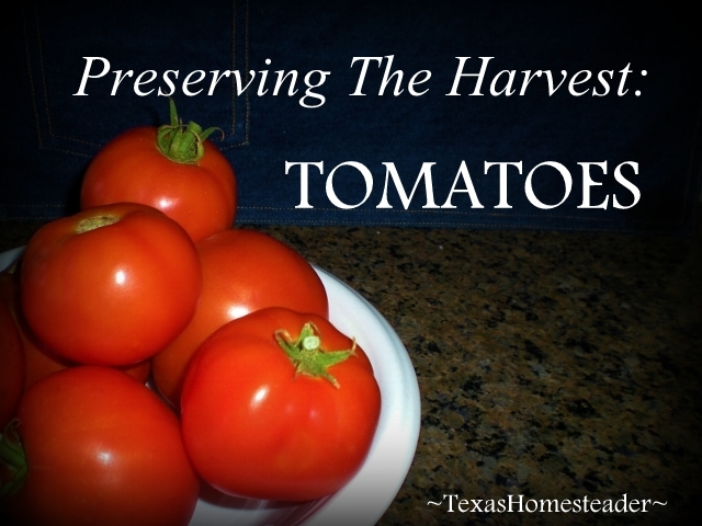 I make sure to preserve the garden tomatoes that we can't eat fresh so not even ONE of them goes to waste. It's easy to freeze them! #TexasHomesteader