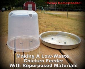 Using items picked up second hand we constructed a large chicken feeder that doesn't waste feed. See how! #TexasHomesteader