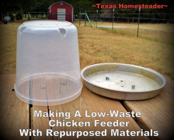 Goodwill finds helps us make a low-waste chicken feeder for cheap! #TexasHomesteader