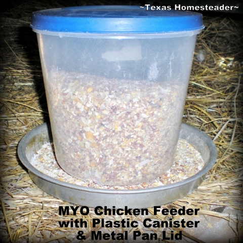 Using items picked up second hand we constructed a large chicken feeder that doesn't waste feed. See how! #TexasHomesteader